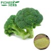 broccoli extract sulforaphane activates Nrf2 for enhance anti-oxidant production