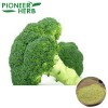 broccoli extract sulforaphane speed up your body’s natural detoxification process
