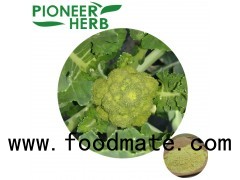 broccoli extract sulforaphane for prevent and cure gout
