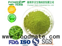 Matcha powder in vary degrees of green color