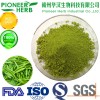green Matcha powder with good taste and aroma