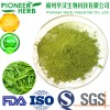 popular food supplement Matcha powder with different kinds of green color