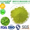 natural food pigment matcha powder