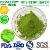 green mulberry leaf powder mulberry leaf matcha