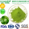 green mulberry leaf powder with good taste and aroma