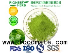 mulberry leaf matcha powder widely used in drinks