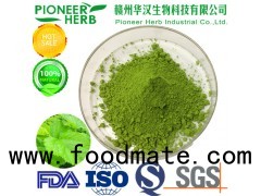 100% green mulberry leaf powder mulberry leaf matcha for food, drinks, nutrition
