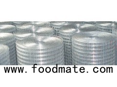 Galvanized Welded Wire Mesh