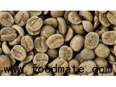 Green Coffee Bean