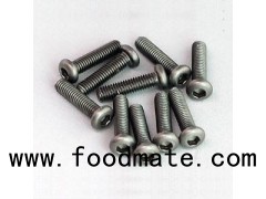 Gr5 Torx Head Titanium Screw