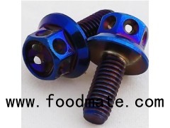 Hardware Fastener Gr5 Titanium Bolts