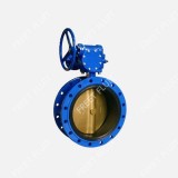 API Standard 609 Flange Concentric Butterfly Valve