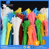 PA66 Cable Tie