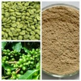 Green Coffee Bean Extract