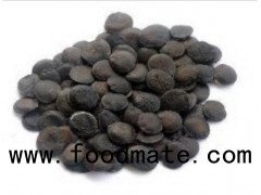 Griffonia Seed Extract