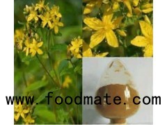 St.John’s Wort Extract