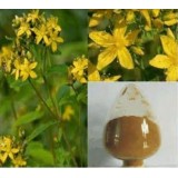 St.John’s Wort Extract