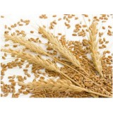 Oat Fiber