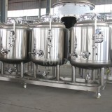 Microbrewery System