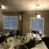 Zebra Window Treatments
