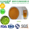 instant soluble green tea powder with good aroma and taste for beverages