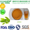 instant green tea powder is the most popular drinks matetrial