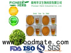 water soluble green tea powder widely used in drinks