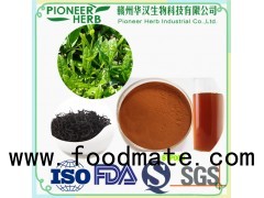 popular drinks material instant black tea powder in good quality