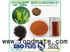 water soluble instant black tea powder widely used in various beverages