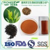 water soluble instant black tea powder widely used in various beverages