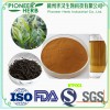 great quality instant black tea powder with cheaper price