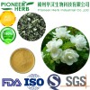 instant soluble jasmine tea powder with good aroma and taste