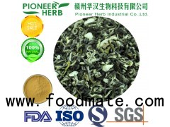 water soluble jasmine tea powder for various drinks and beverages