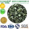 water soluble jasmine tea powder for various drinks and beverages