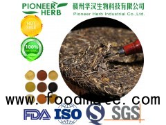 instant puer tea powder with good aroma and tasted