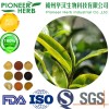 instant puer tea powder for various beverages and drinks