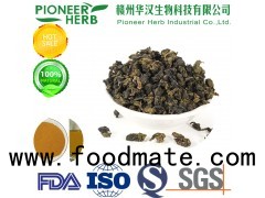 instant oolong tea powder widely used in drinks and beverages