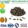 instant oolong tea powder widely used in drinks and beverages