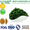 popular drinks material instant oolong tea powder with good aroma and taste