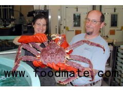 Red King Crab