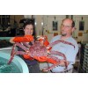 Red King Crab