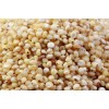 Sorghum