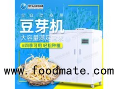 Bean sprout growth machine