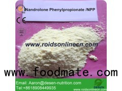 Durabolin Steroid Npp Nandrolone Phenylpropionate Powder for Weight Loss