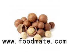 Macadamia Nuts