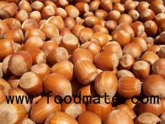 Hazelnuts