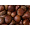 Chestnuts