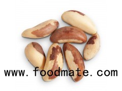 Brazil Nuts