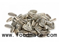 Sunflower Seeds