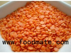 Lentils